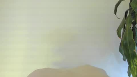 Coral princex online show from February 2026 06:11:02 AM