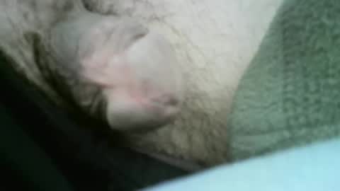 core-i007 online show from April 2026 05:08:02 PM