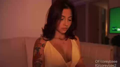 Snapshot of coreybae chatting on September 2025 11:53:02 PM coreybae online show from September 2025 11:53:02 PM