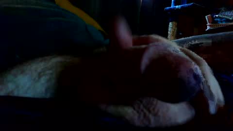 cornking75 online show from July 2026 09:31:02 PM