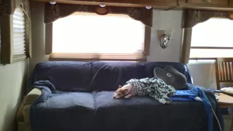 Chester  Melissa online show from February 2025 06:15:02 PM