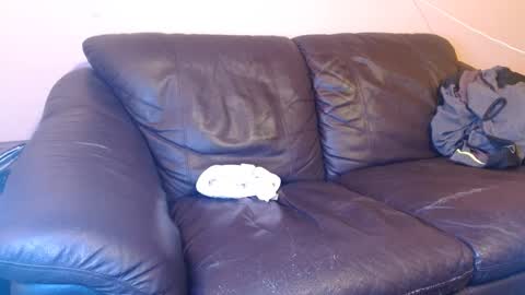 Tony online show from March 2025 05:20:01 AM