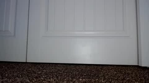 Snapshot of couple049 chatting on January 2025 07:29:02 PM Couple049 online show from January 2025 07:29:02 PM