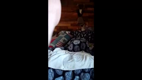 Snapshot of craig232301327629 chatting on March 2026 02:24:01 PM craig232301327629 online show from March 2026 02:24:01 PM