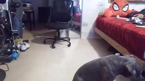 Snapshot of crazy4feetmanic chatting on April 2026 11:07:02 PM drbucknaked online show from April 2026 11:07:02 PM