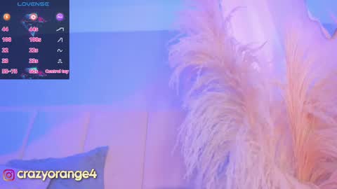 Snapshot of crazyorange4 chatting on March 2025 01:17:01 PM You can ask online show from March 2025 01:17:01 PM