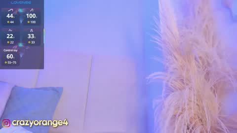 Snapshot of crazyorange4 chatting on March 2025 01:32:02 PM You can ask online show from March 2025 01:32:02 PM