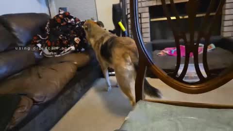 The hopeless romantic online show from September 2025 08:08:01 AM