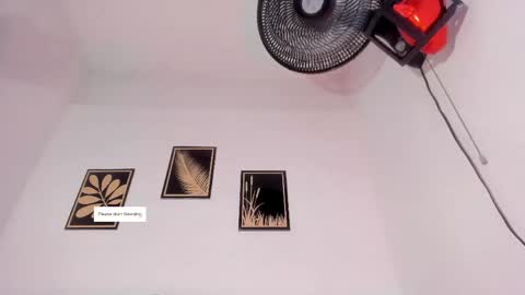 criss_zuri online show from March 2026 12:53:01 PM