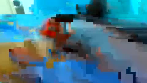 cristian20240816 online show from May 2026 02:46:02 PM