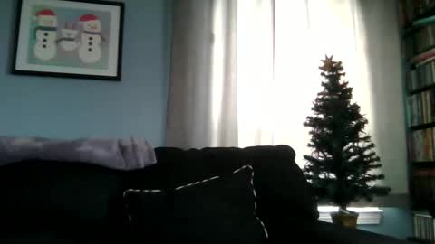 fun guy online show from January 2026 01:46:01 PM