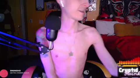 CryptidTwink online show from April 2026 06:22:02 AM