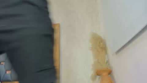 crystal_sm online show from February 2026 03:06:01 AM