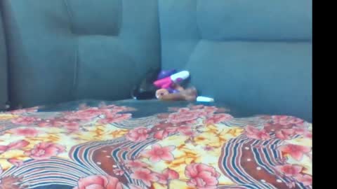 Snapshot of crystallgem chatting on March 2026 01:07:02 PM crystallgem online show from March 2026 01:07:02 PM