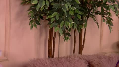 crystallred online show from February 2026 06:20:02 AM