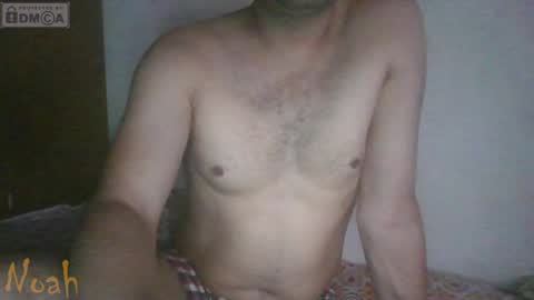 Noha online show from April 2026 07:08:01 AM