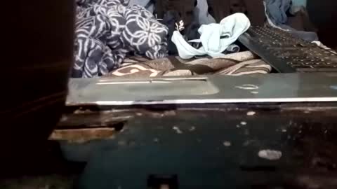 cumbian_chero online show from May 2026 02:44:01 PM