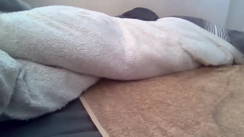 cummbumm69 online show from June 2026 04:40:02 PM