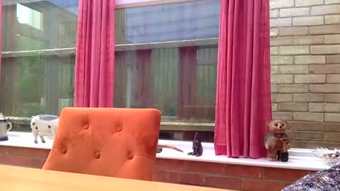 cumonherguys online show from June 2026 11:45:01 AM