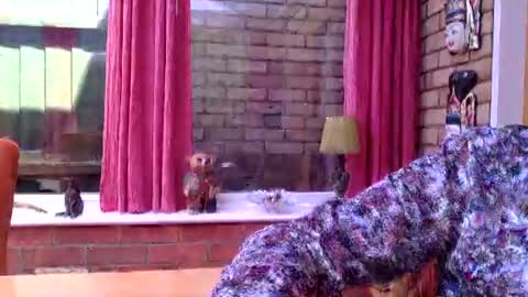 cumonherguys online show from June 2026 11:58:01 AM