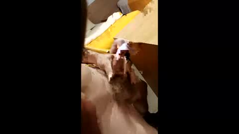 Snapshot of cunnemammaru chatting on December 2025 11:43:02 PM cunnemammaru online show from December 2025 11:43:02 PM