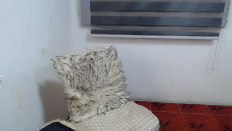 Snapshot of cuppycupcake_2 chatting on January 2026 02:13:01 AM Xyrien online show from January 2026 02:13:01 AM