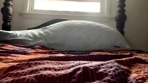 Snapshot of curiousperformance chatting on December 2024 01:53:02 PM Curiousperformance online show from December 2024 01:53:02 PM