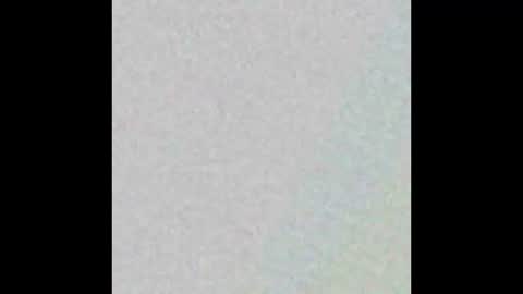 Snapshot of curlybutterfly chatting on October 2025 10:00:02 PM curlybutterfly online show from October 2025 10:00:02 PM