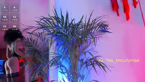 Rose online show from November 2025 10:20:02 PM