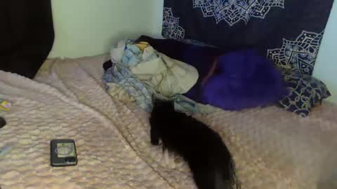 Snapshot of curvybcelinemixe chatting on February 2025 04:47:01 AM Cline online show from February 2025 04:47:01 AM