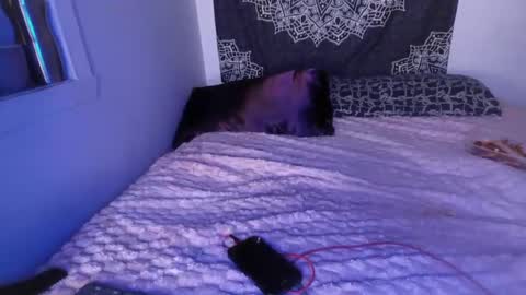 Snapshot of curvybcelinemixe chatting on March 2025 07:21:02 AM Cline online show from March 2025 07:21:02 AM