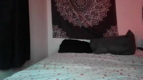 Snapshot of curvybcelinemixe chatting on June 2026 01:41:01 AM Cline online show from June 2026 01:41:01 AM