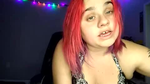 Lucifina ganja kittens online show from December 2024 06:33:01 AM