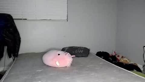 Lucifina ganja kittens online show from December 2024 04:42:02 AM