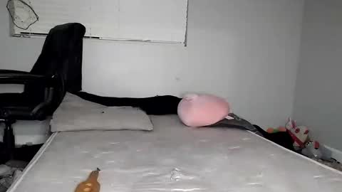 Lucifina ganja kittens online show from December 2024 05:15:02 AM