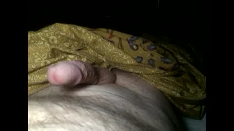 Snapshot of cutcockguy1975 chatting on January 2025 07:22:01 AM Steve online show from January 2025 07:22:01 AM