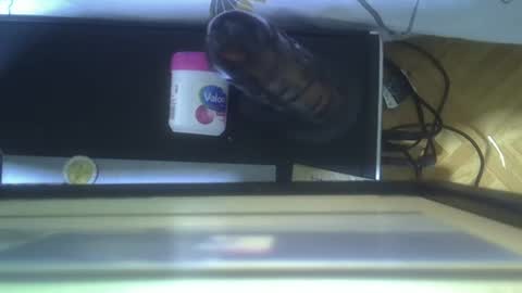 lynn online show from September 2025 03:57:01 PM