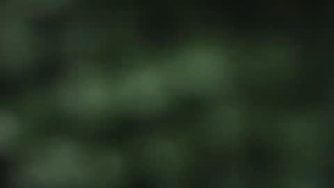 cuteeboy online show from October 2025 08:09:02 PM