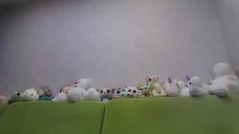 Chloe online show from October 2025 12:53:01 AM