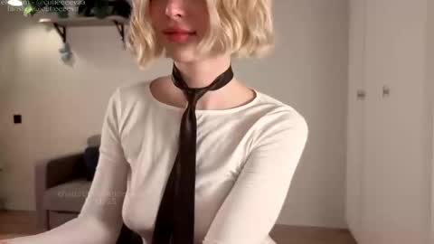 E online show from November 2025 04:29:01 PM