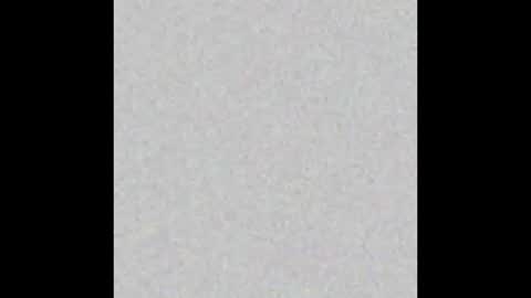 Wedito online show from December 2025 08:20:02 AM