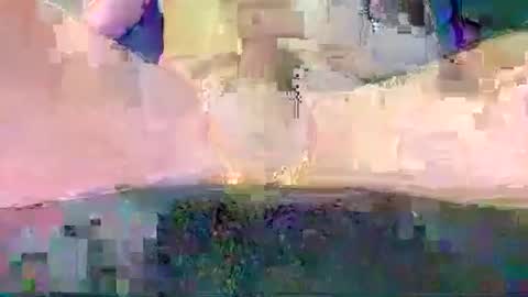 cwaddle online show from June 2026 01:22:01 PM