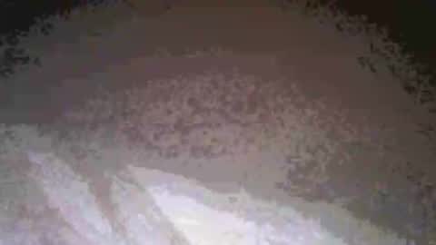 cwill27837 online show from February 2026 03:38:02 AM