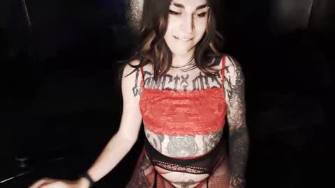 Nikki online show from February 2026 04:00:01 AM