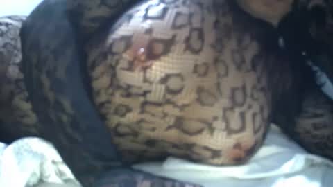 cyndy3393 online show from April 2026 08:20:01 AM