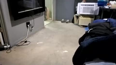 Snapshot of da941987 chatting on December 2024 05:48:01 AM da941987 online show from December 2024 05:48:01 AM