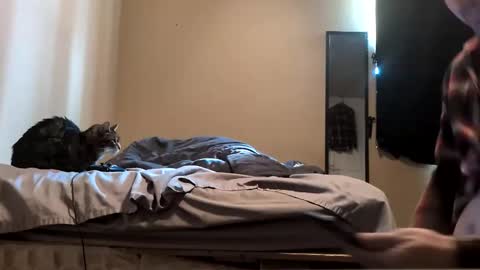 Snapshot of da_man411212 chatting on February 2026 10:06:01 PM da_man411212 online show from February 2026 10:06:01 PM