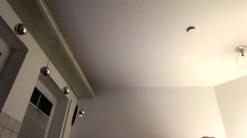 Snapshot of dachdecker7269 chatting on December 2025 05:12:02 AM dachdecker7269 online show from December 2025 05:12:02 AM