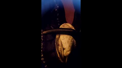 Daddett iS Wett online show from March 2026 05:22:02 AM