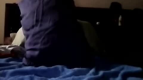 Kasey Xdresser online show from February 2026 03:42:01 PM